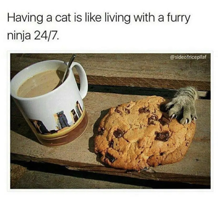 3CDD6CA3-D8C0-4C80-B800-69B764FCF061.jpeg