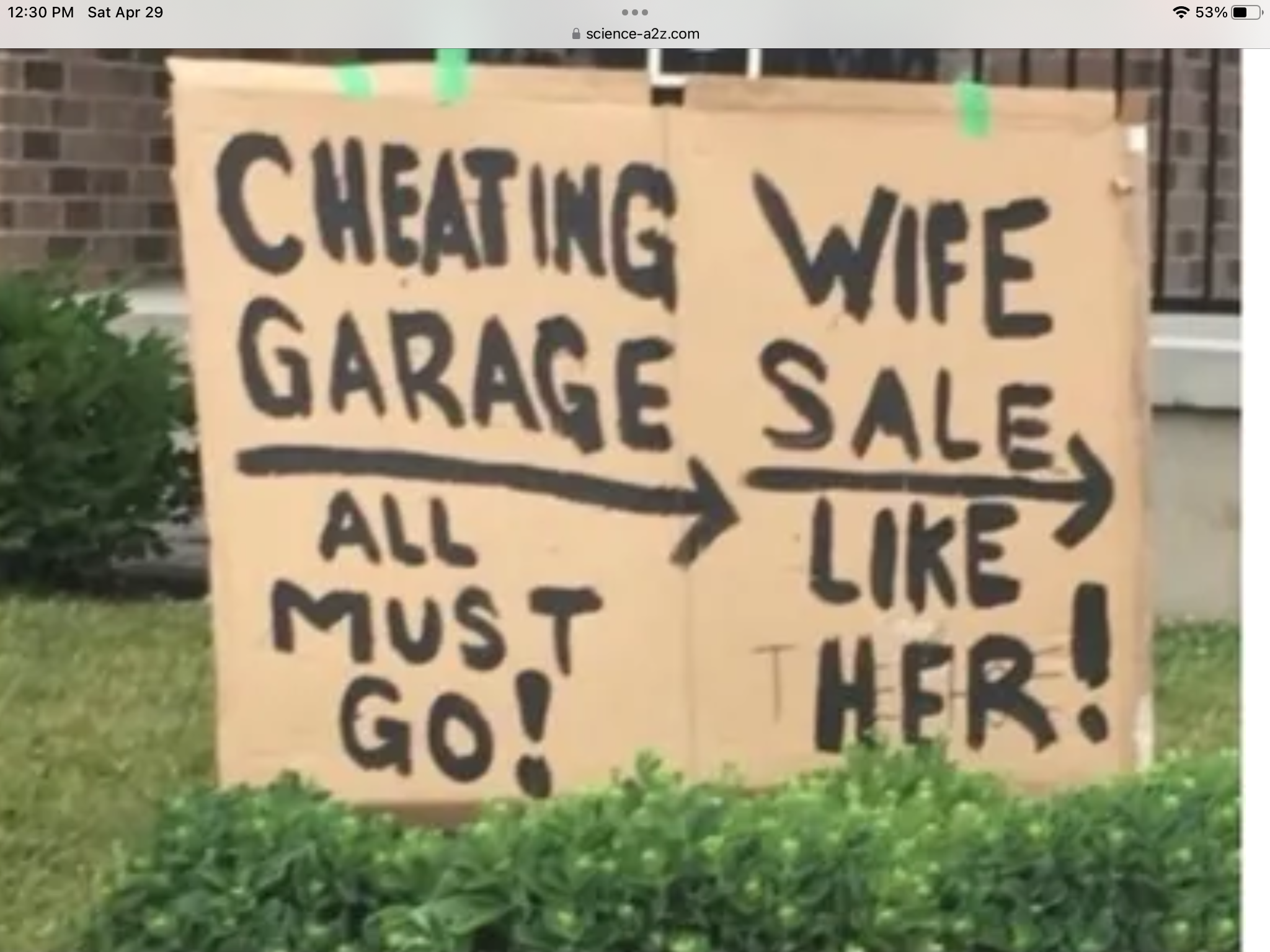 3CECCF4F-5E68-4D7D-B340-837DC10E80A2.png