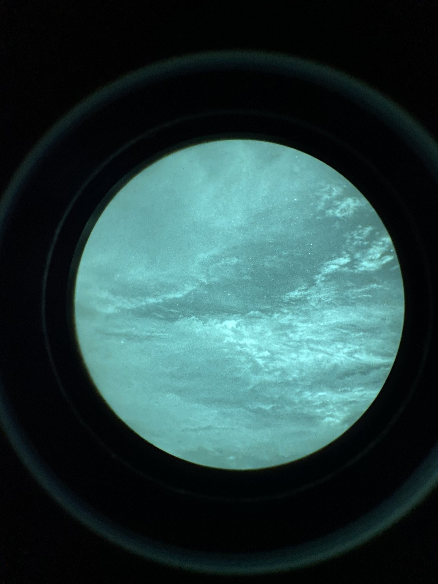 3D28D5B1-8333-48F5-A4D0-F5B31D93294F.jpeg