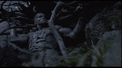 3F50325B-4C6E-48AD-B8B8-E888B6EEC343.gif