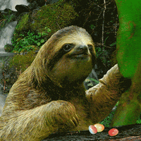 3F76B6F0-A147-4B79-B849-6B5979642FB3.gif