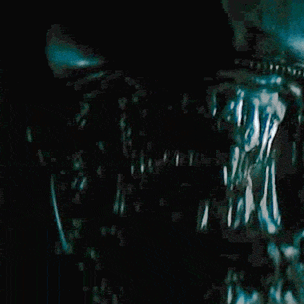 3o6ozFNsrD4m4UuHEk.gif
