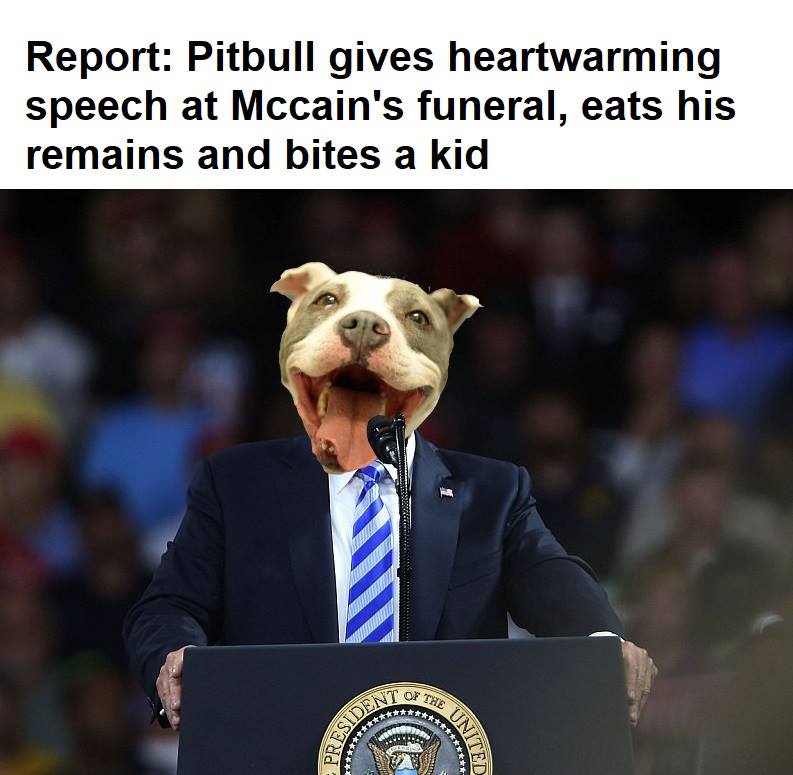 40635010_1655578821238421_1426698903490658304_n.jpg
