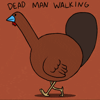 40EE49D8-7D92-40F4-99A0-3096B54BC4E3.gif