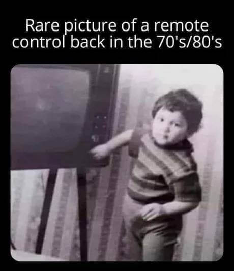 41081981rz.jpg