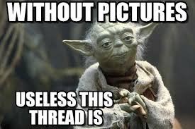 41A6F448-C16C-4BDF-A703-815AE5A7A51C.jpeg