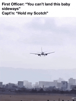 4305A7ED-816F-4B66-AF05-634647A23AA1.gif