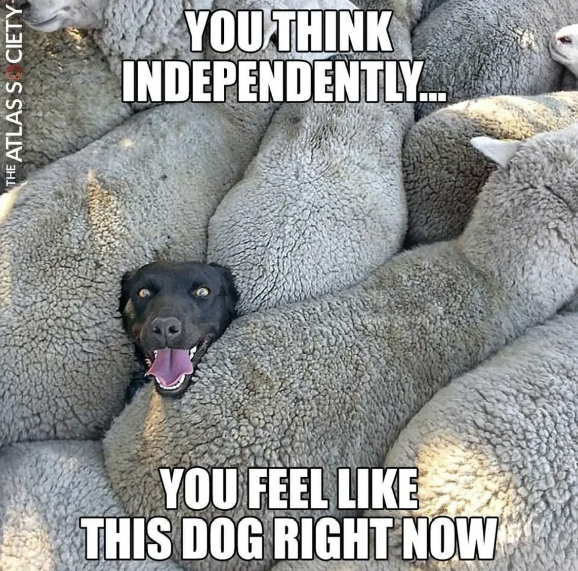 431EBF01-F6EA-48A8-B97A-3EFDF303260C.jpeg