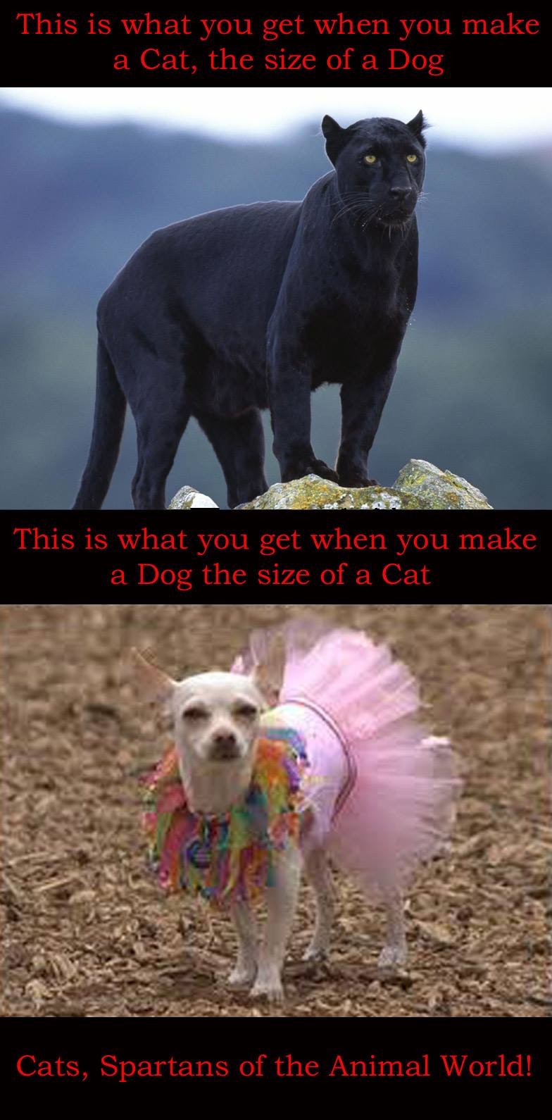 432E6935-D462-402F-88EC-82D7D50A7748.jpeg