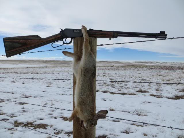 44mag.jpg