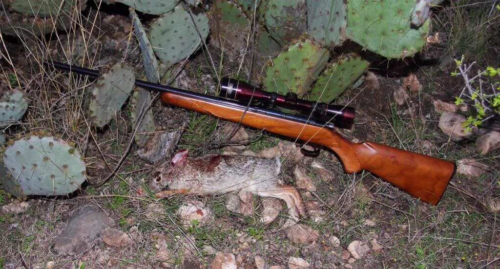 44mag.jpg