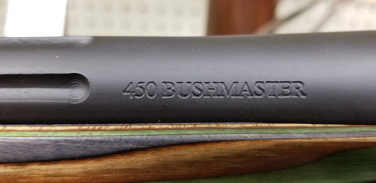 450 bush2.jpg