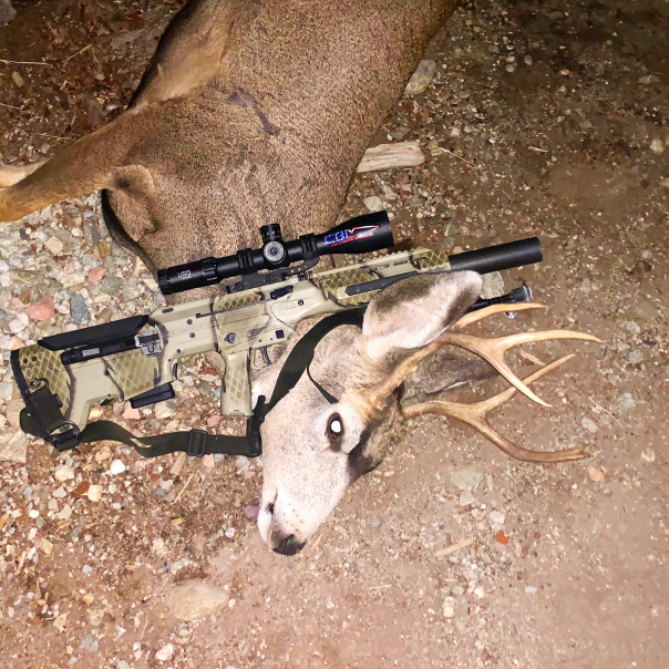 450BM deer.jpeg