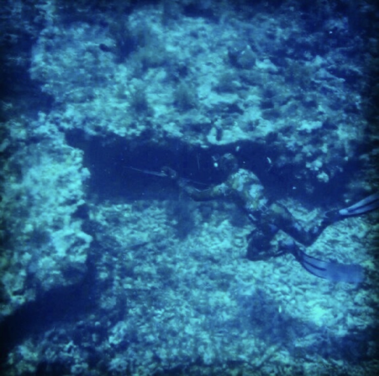 45455258-0104-4A04-B59B-4F0E345CA912.jpeg