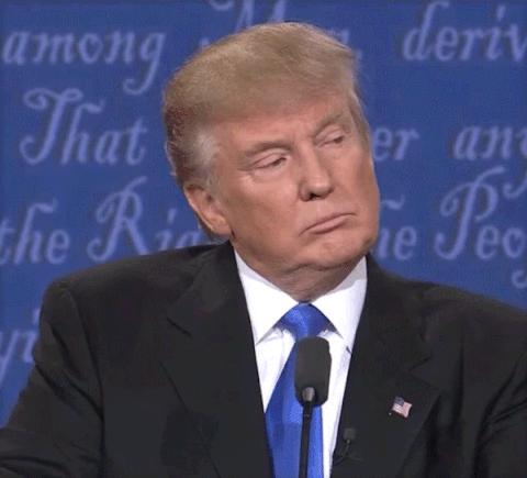 455B7D44-6CD1-455C-86AE-B6DE4060E773.gif