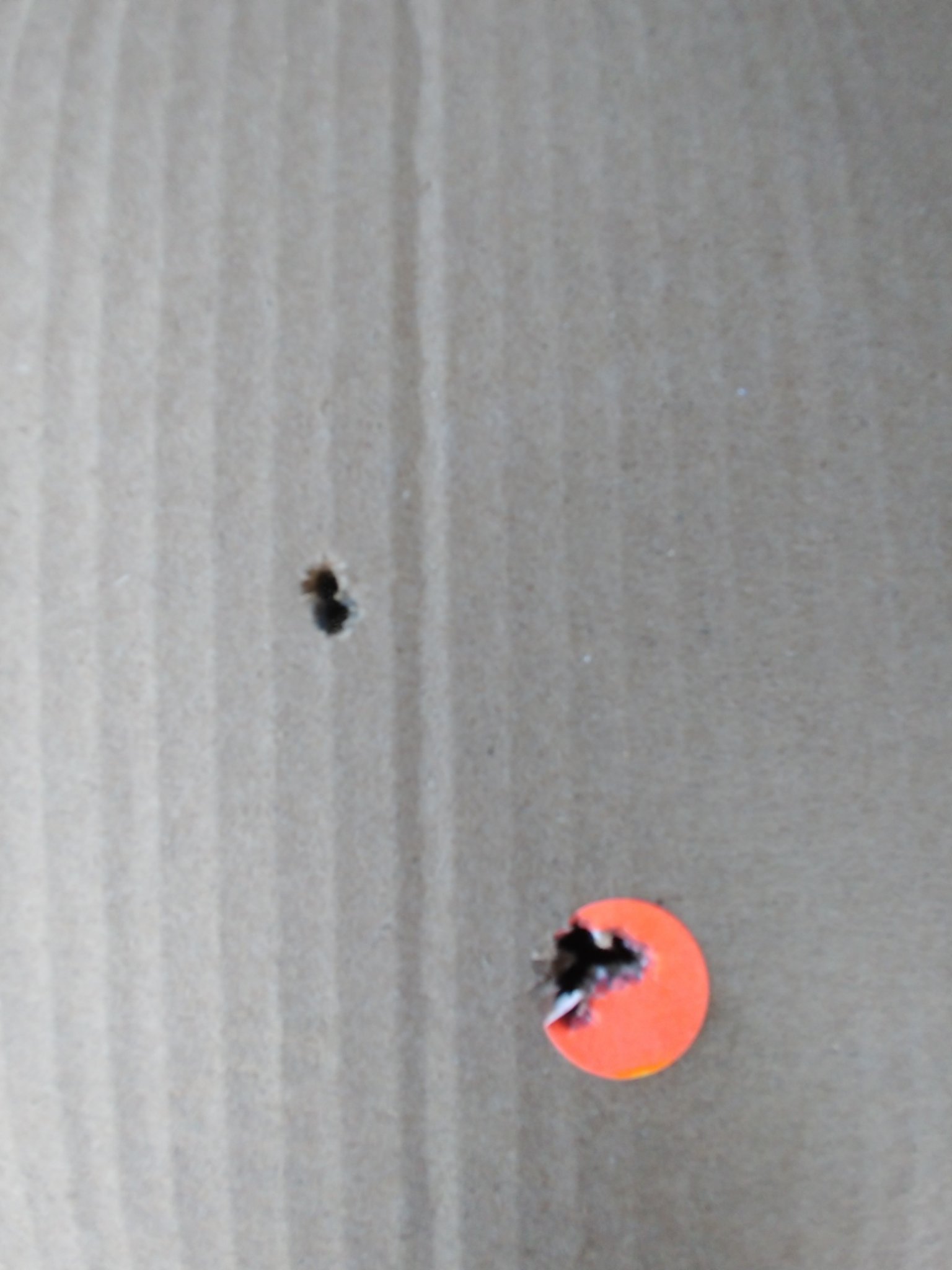 457 target.jpg