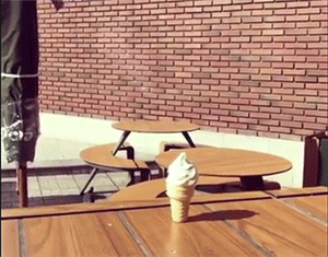 468A4D76-03BF-4E95-AE48-DF8D806BD390.gif