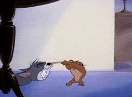 47028A6B-C029-4B5D-B30C-30CFB18D9DE3.gif