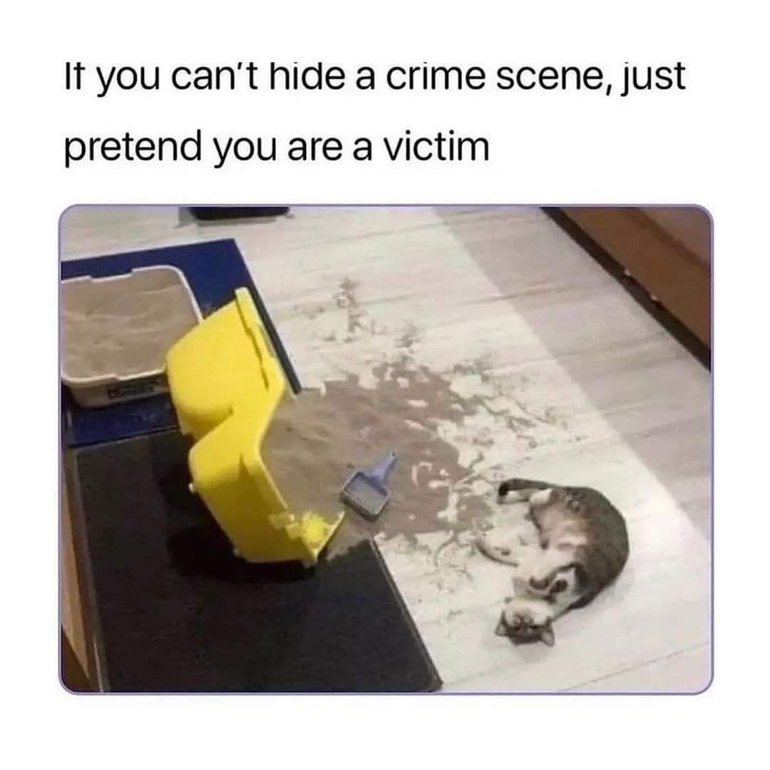 47350.jpeg