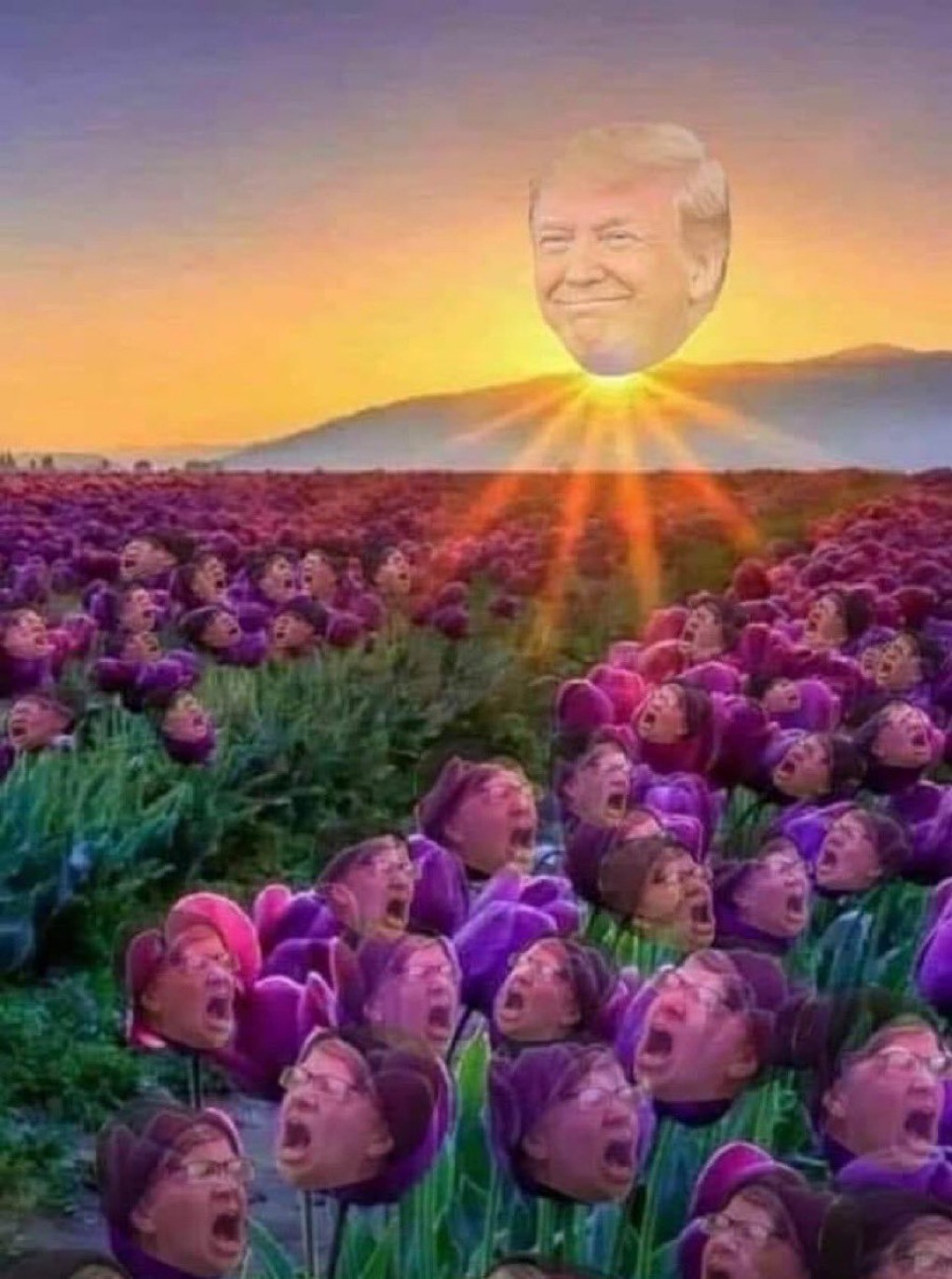 474082025_122202320678222943_1392964986254390602_n.jpg