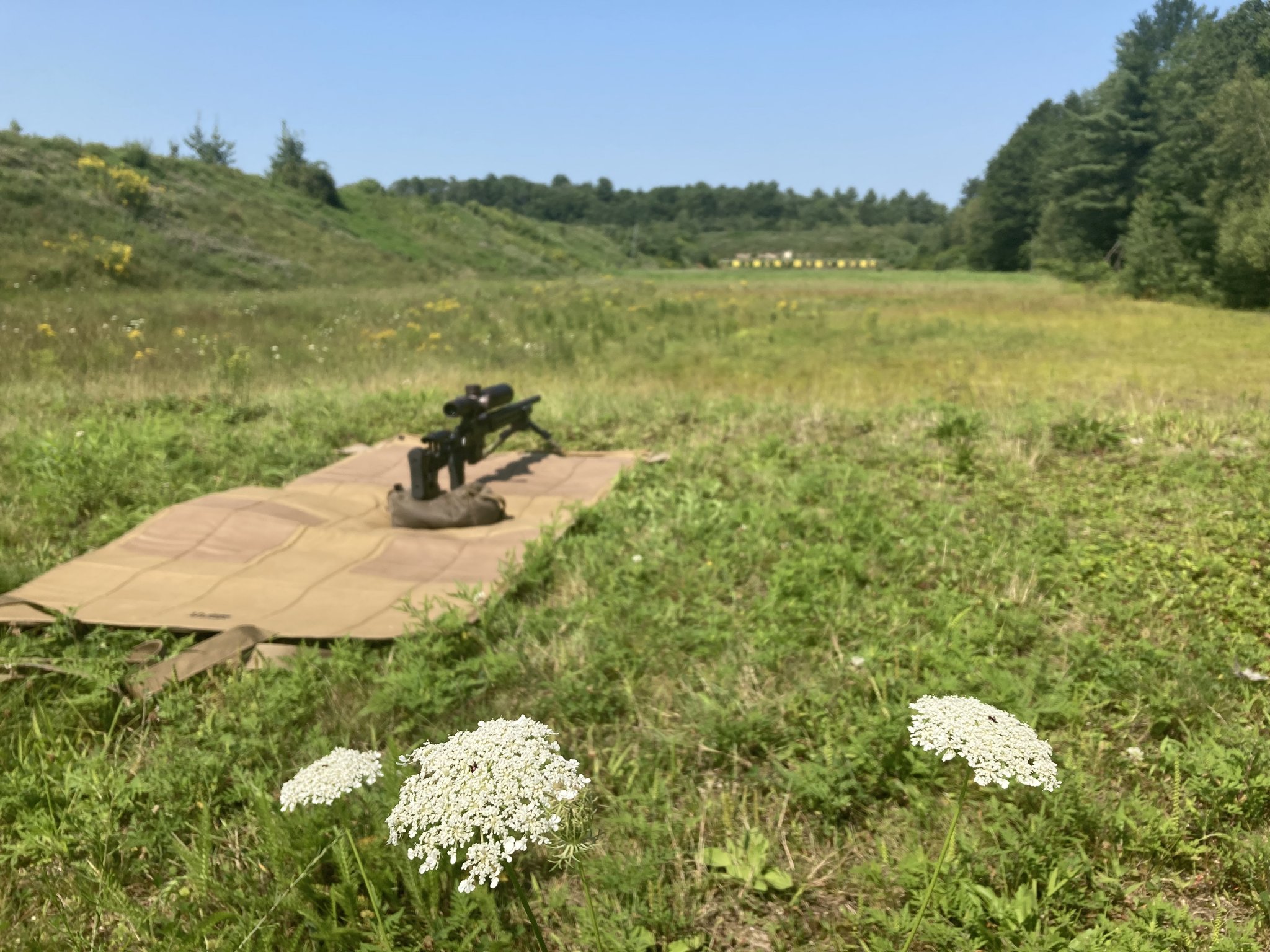 4794BCEE-F491-4CA8-915E-F077FC4D2062.jpeg