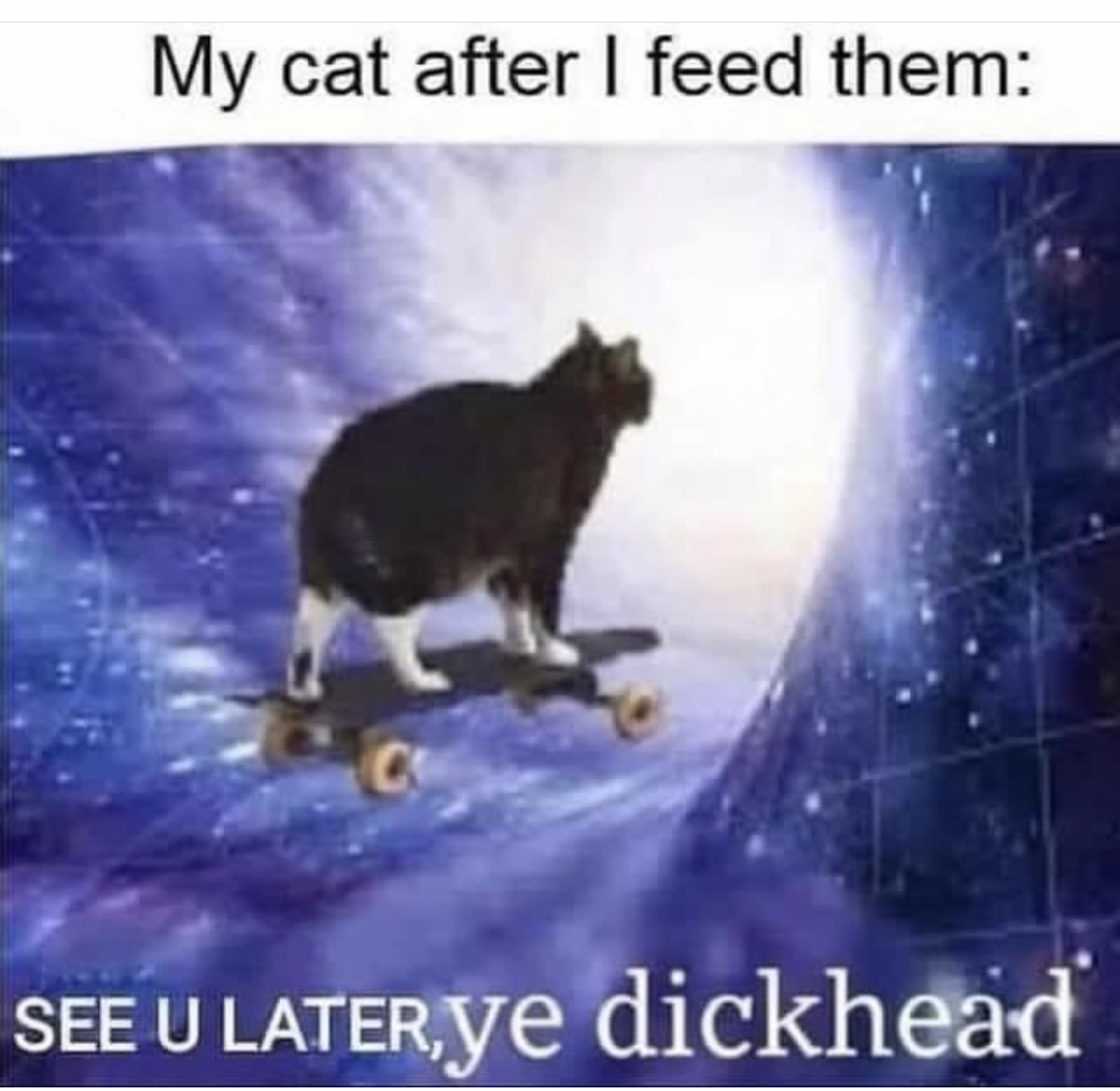 482D82FB-7C10-401F-B065-BCE529CD6693.jpeg