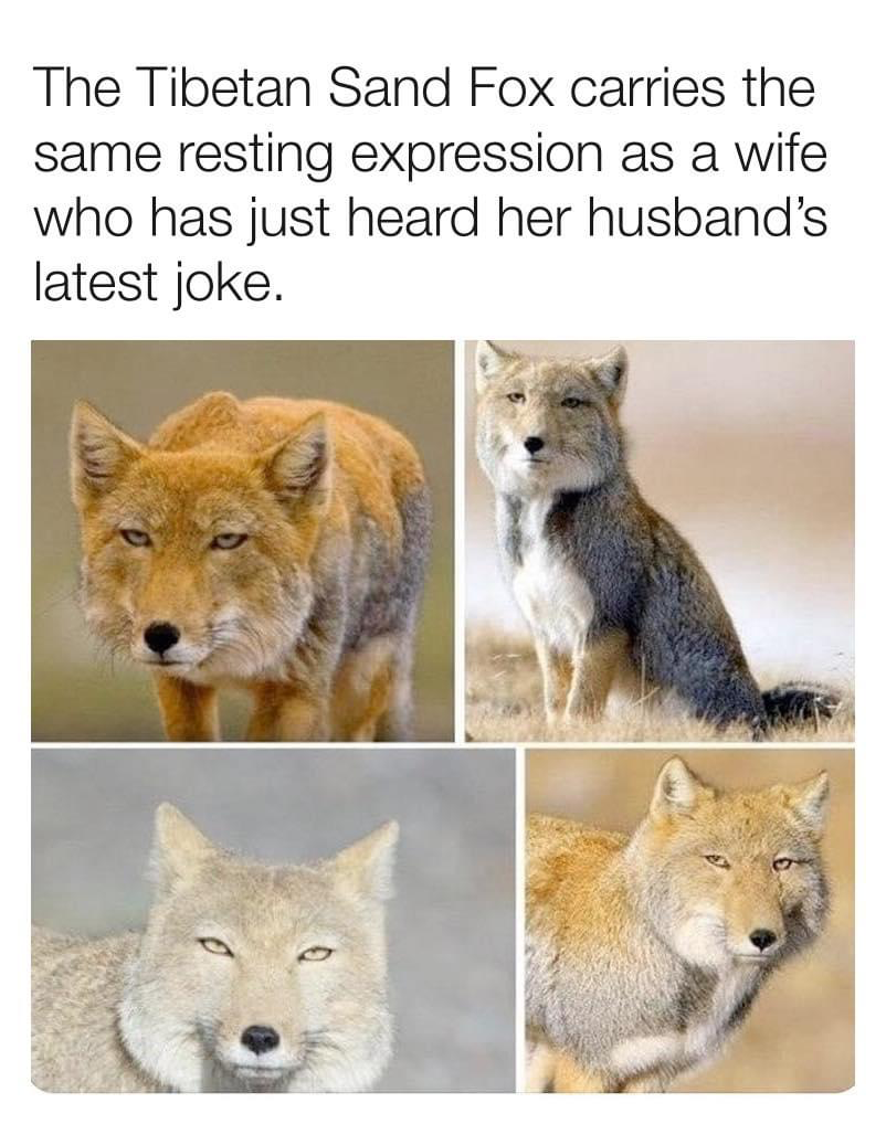 495D000A-E3B6-4218-B1A8-567CB8271480.png