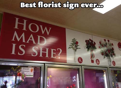 499527181_Floristsign.jpg.a98d06d1788f2acb643a3b75025af4d6.jpg