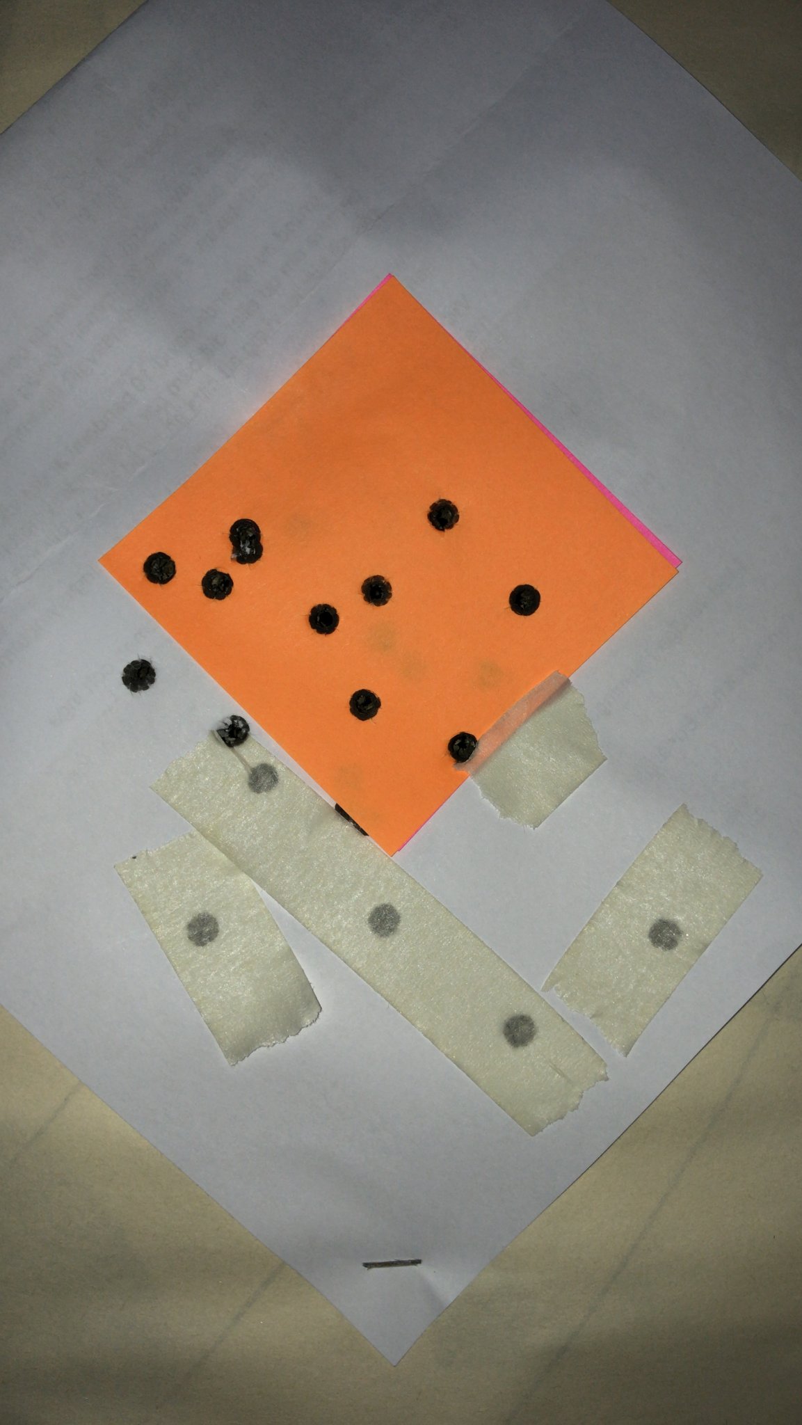 49AB56B9-90E9-401C-AC27-6F02E9B5F009.jpeg