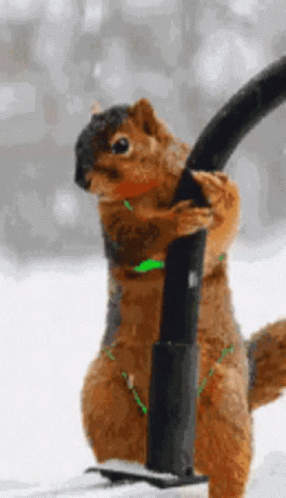 4AF0E899-0D95-47D3-A652-5449C1D2043A.gif