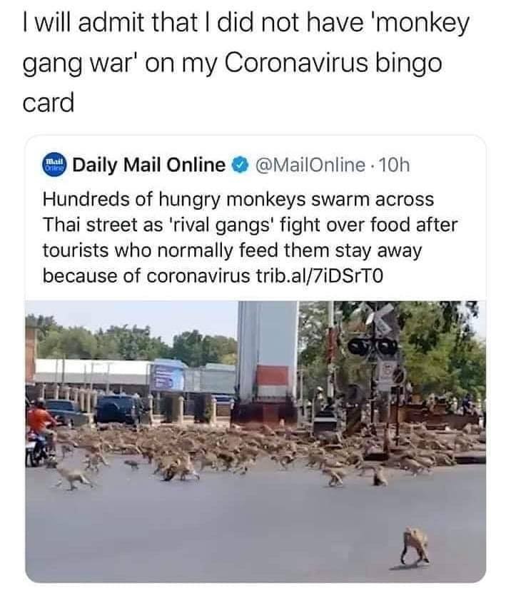 4B3FA807-15FF-4381-8046-E3D234BF0FC9.jpeg