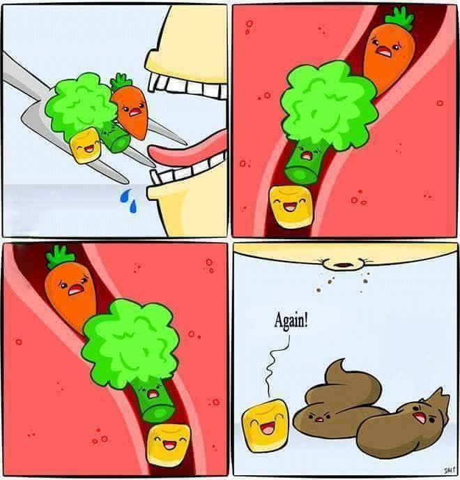 4B4E0E08-6A2D-4E60-8B7C-FE284161C3E2.jpeg