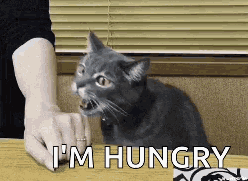 4C6AEF54-1753-4EF5-B0E5-B8DEE807C4AA.gif