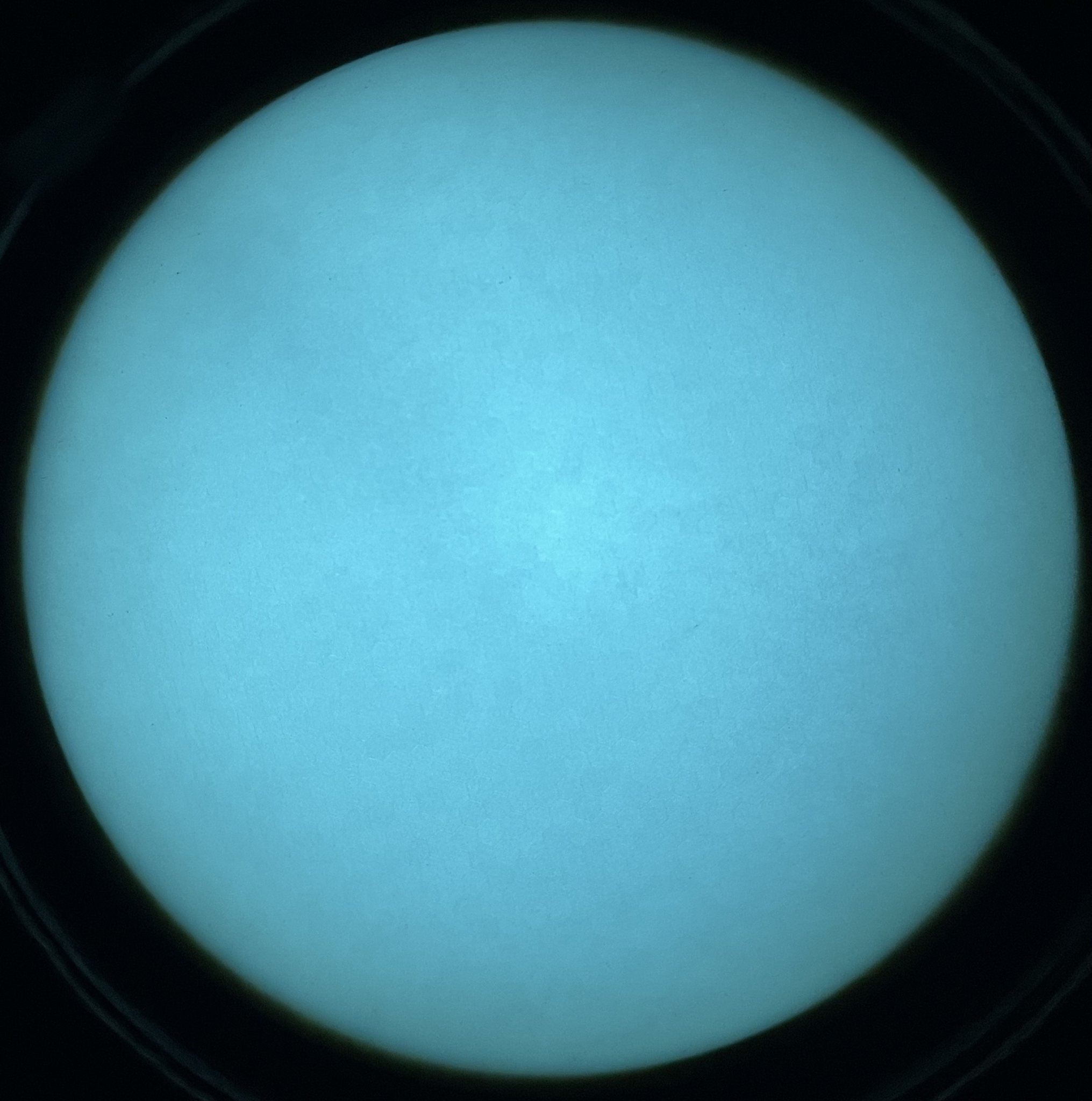 4C92CE55-6D3F-4DF1-A018-2271545C6875.jpeg