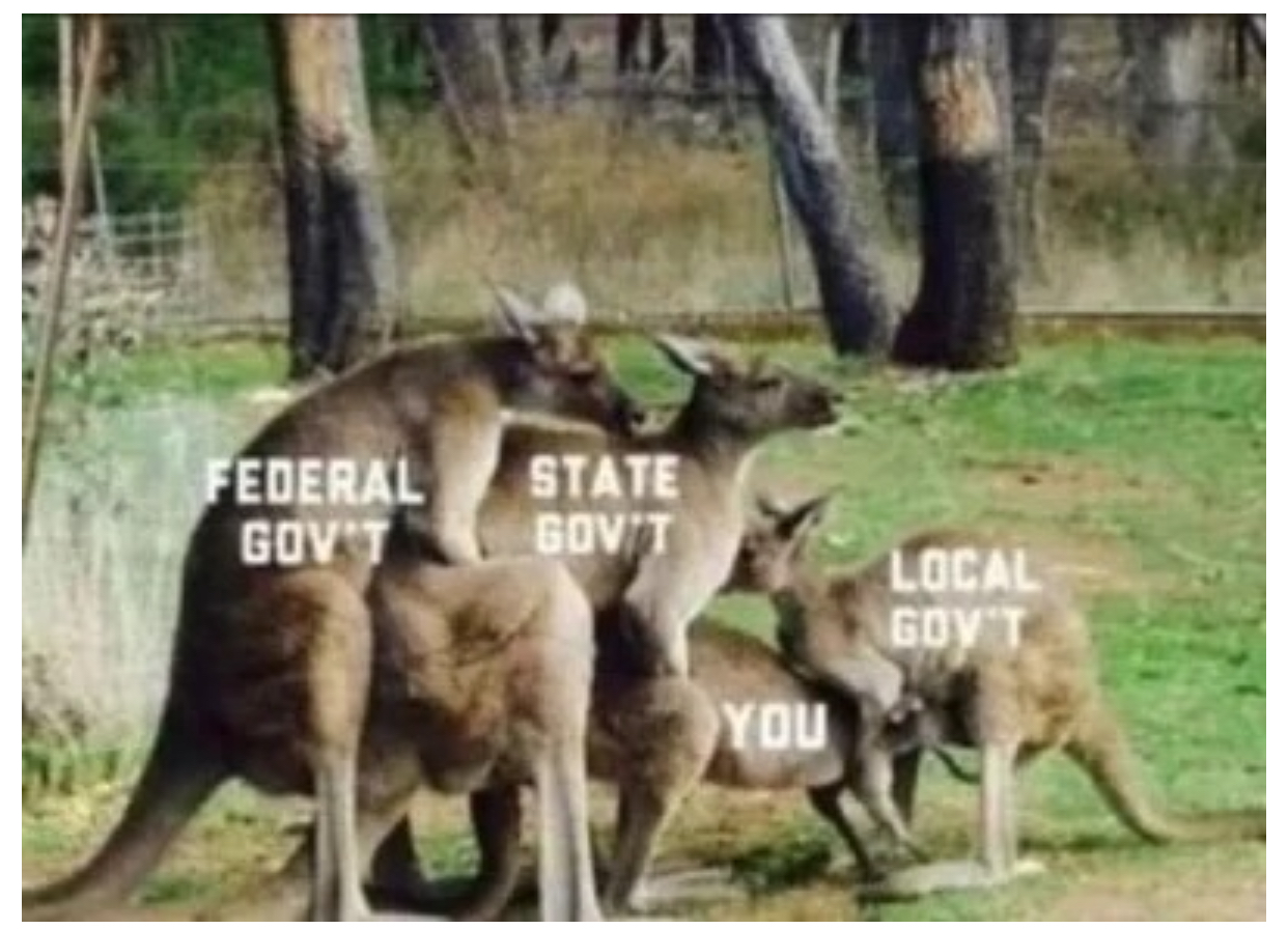 4D1E8446-2EE9-42DC-8F9F-131E1702AE29.jpeg