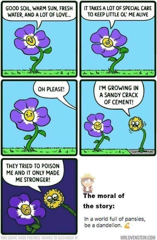4E2D1297-71B0-4B17-B24F-F16B0EE88285.jpeg