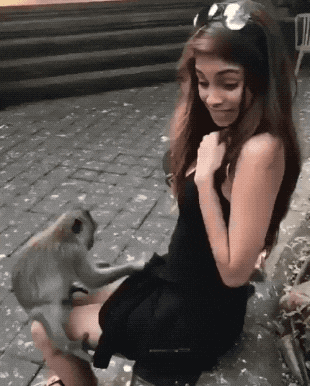 4F744DF9-60E7-46D1-81FF-C1851532CEC2.gif