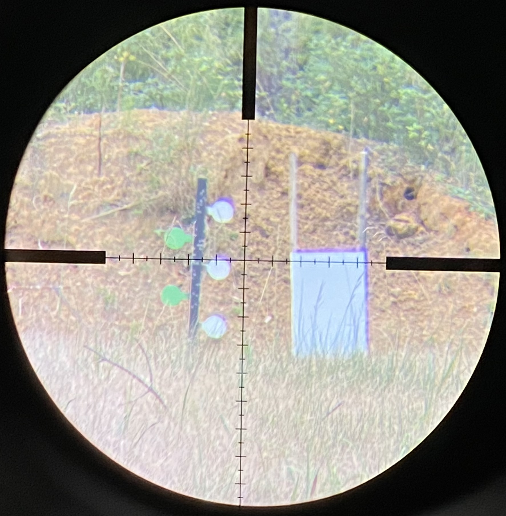 4F751226-C28B-4967-A056-B858D0E11378.jpeg