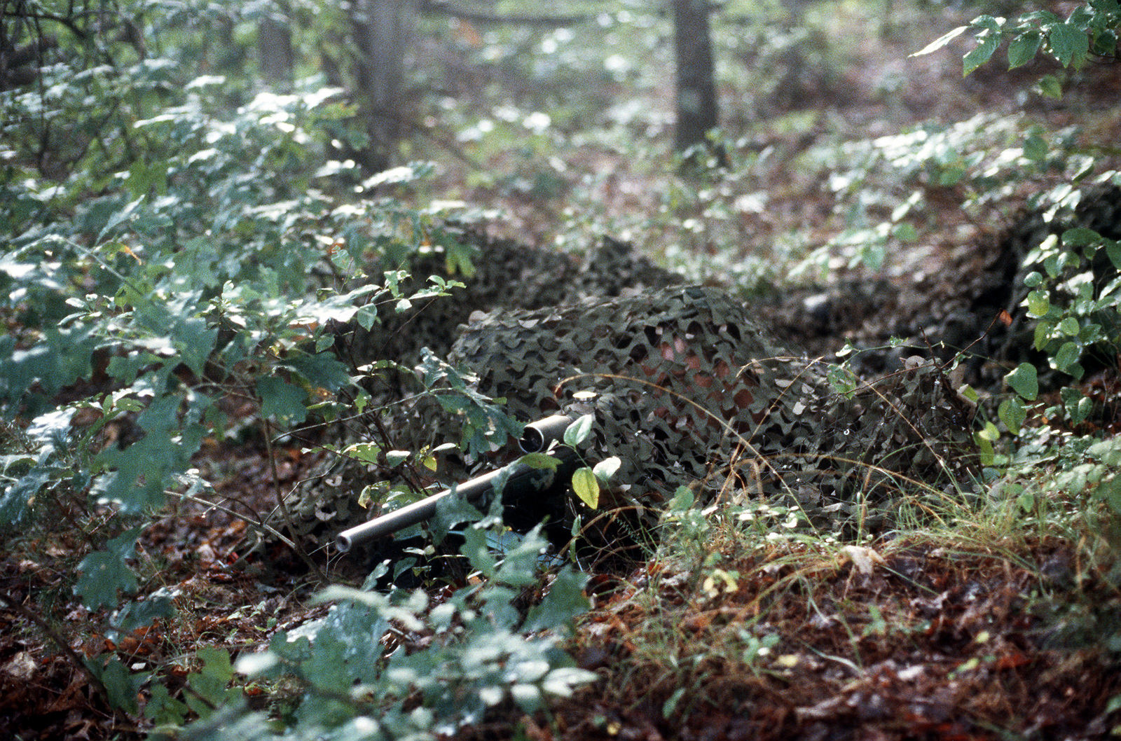 4j4A74e.jpg