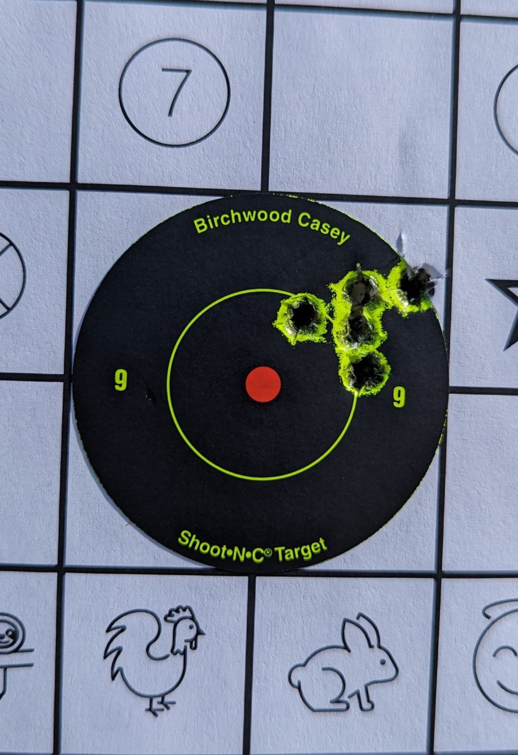5-Shot-SMALL.jpg