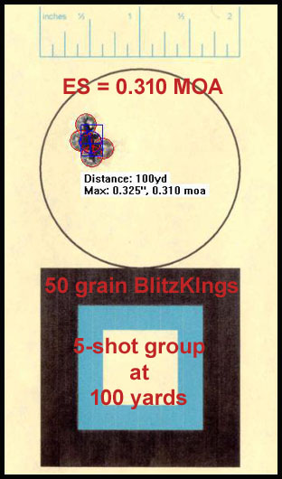50 blitzkings 5 shot group at 100yards.jpg