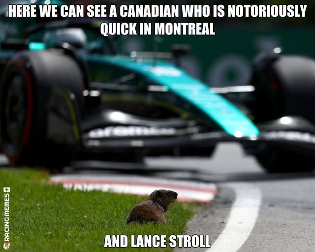 50599310.jpg