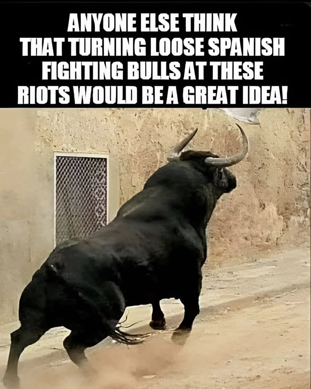 508190043_653166577700725_3663330997158301769_n.jpeg