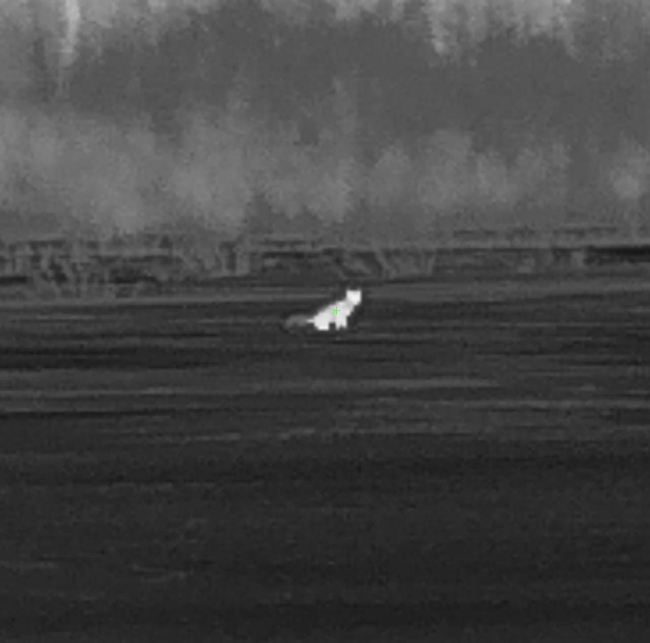 51ED32F9-EF57-46D2-958A-B1057FAA06C3.jpeg