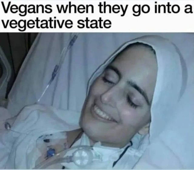 5280e17024039cd2763ef924.jpeg