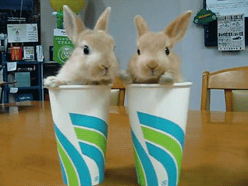 530A5CCA-7D9F-4622-A0E5-5829C11A3424.gif