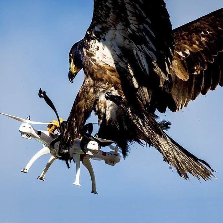 7035755