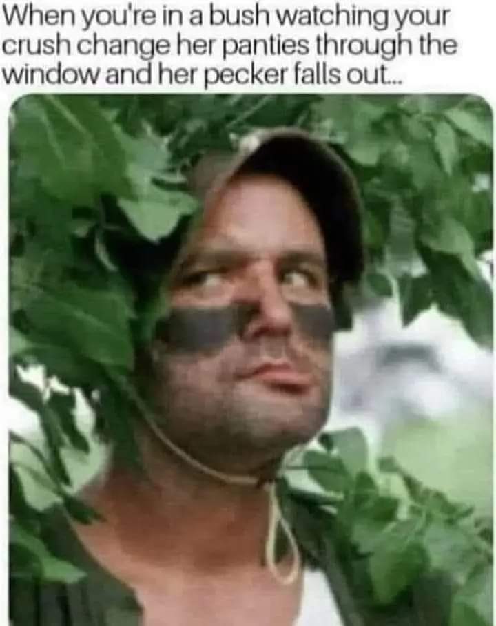 53676.jpeg