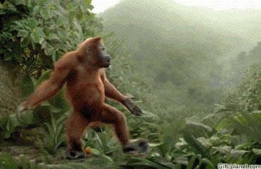53E0B487-B369-4CF7-BA5F-0841238F5883.gif