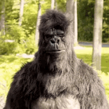 53E805E2-F7DE-46F4-9140-84EA7431EBE0.gif